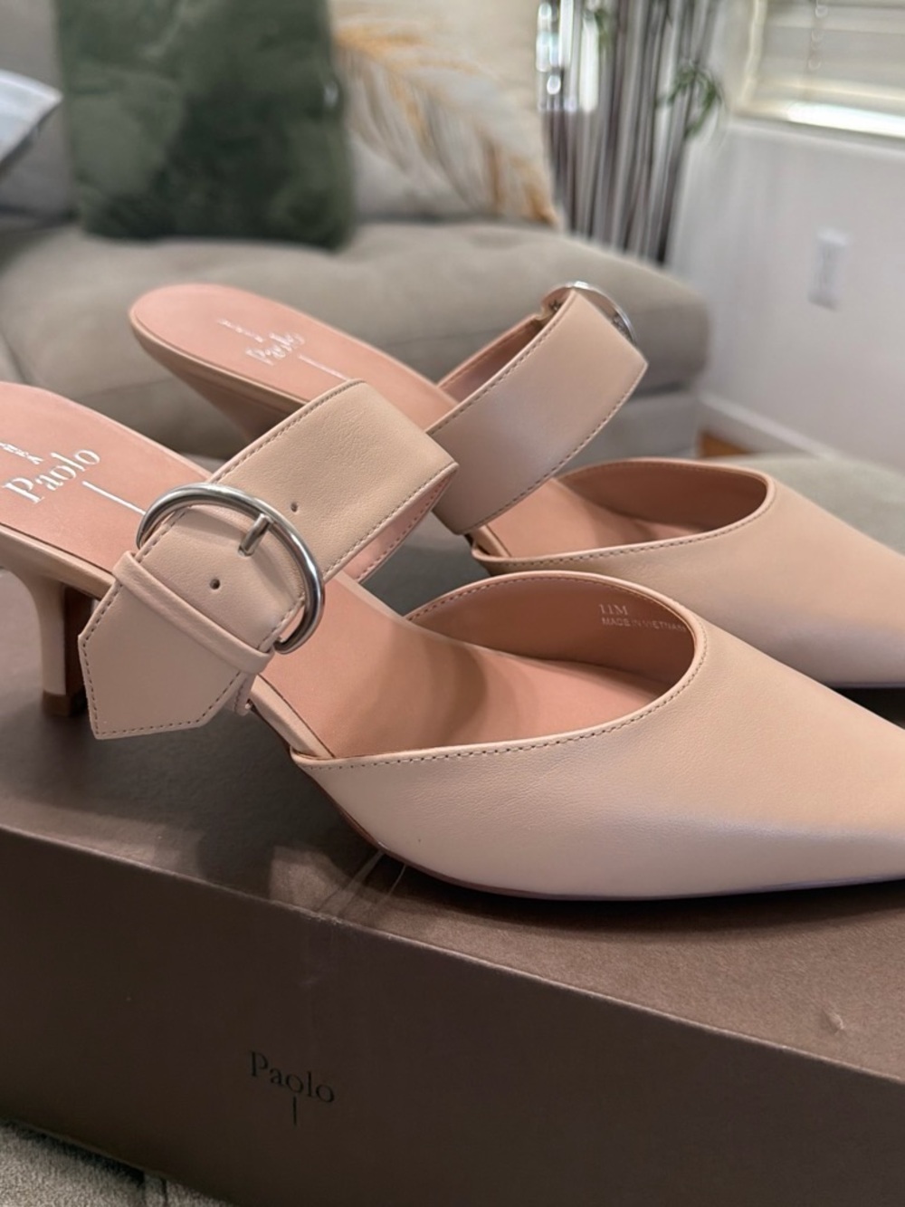 Paolo Women's Nude Pointed Mule with Silver Buckle